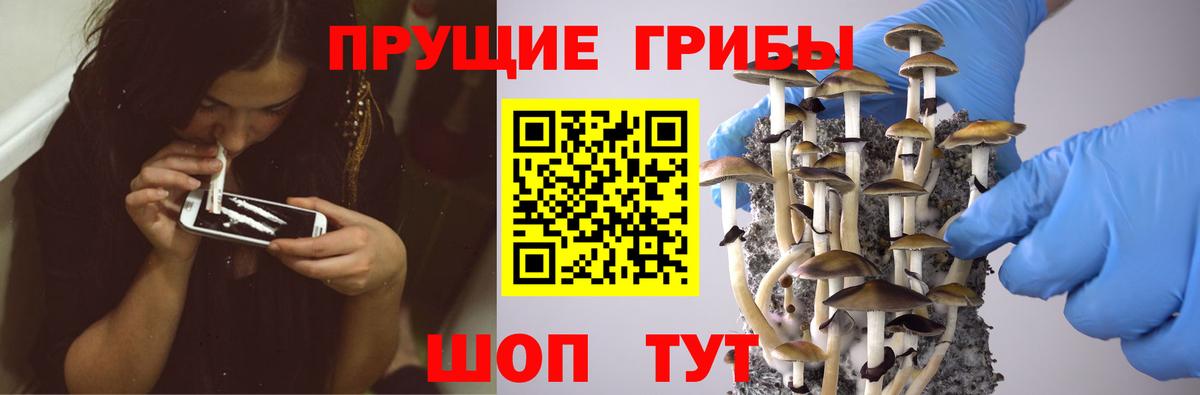 Псилоцибиновые грибы ЛСД Можайск